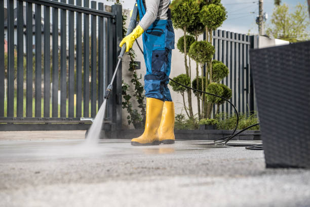 Best Gas Station Cleaning  in Nashvle, IL